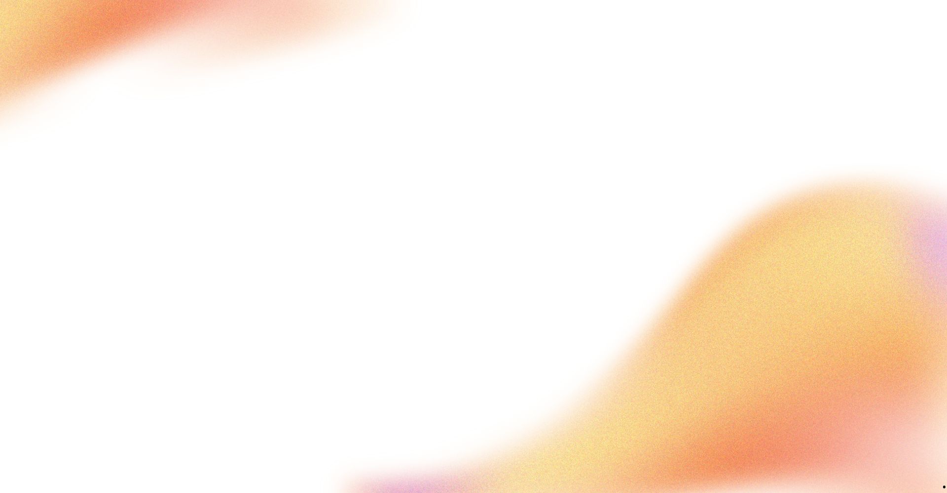 Nouvelle collection 2026